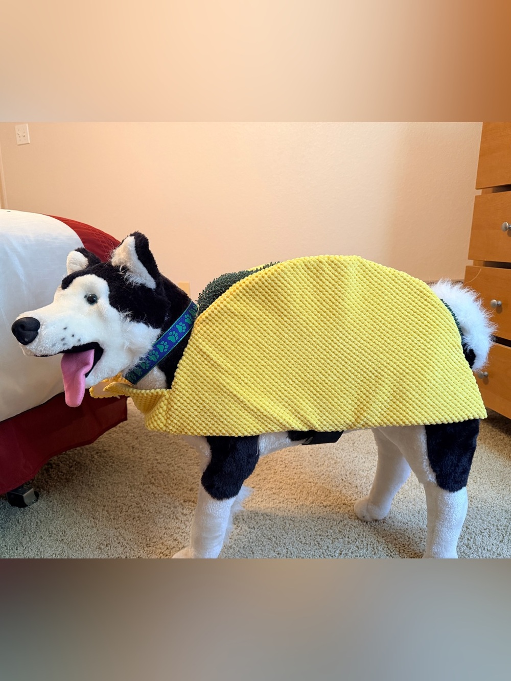 🌮 Taco ’Bout Adorable! Dog Taco Costume | Pet Halloween Outfit
